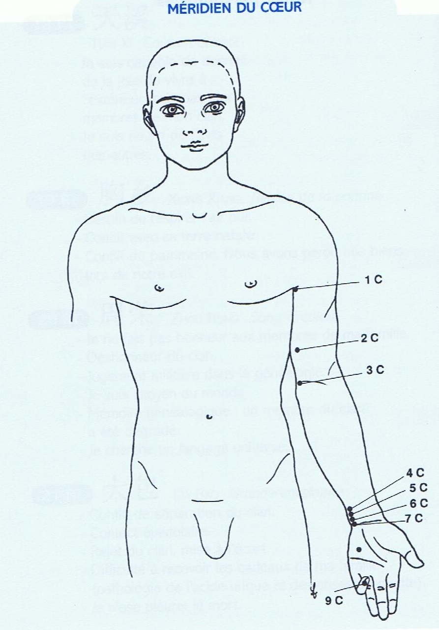 meridien coeur