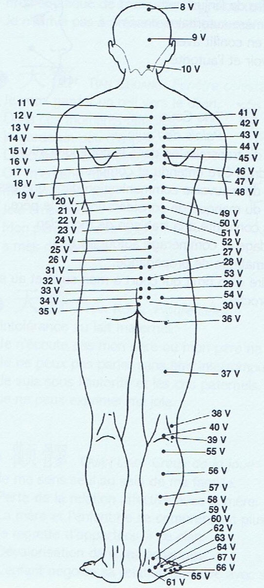 Le méridien de la vessie