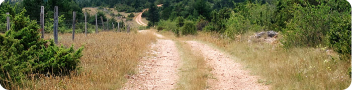 chemin1.jpg
